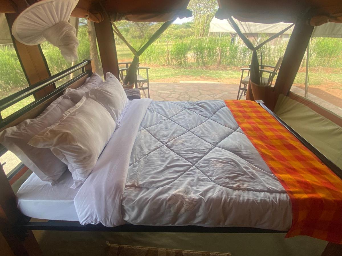 Oldarpoi Wageni Camps