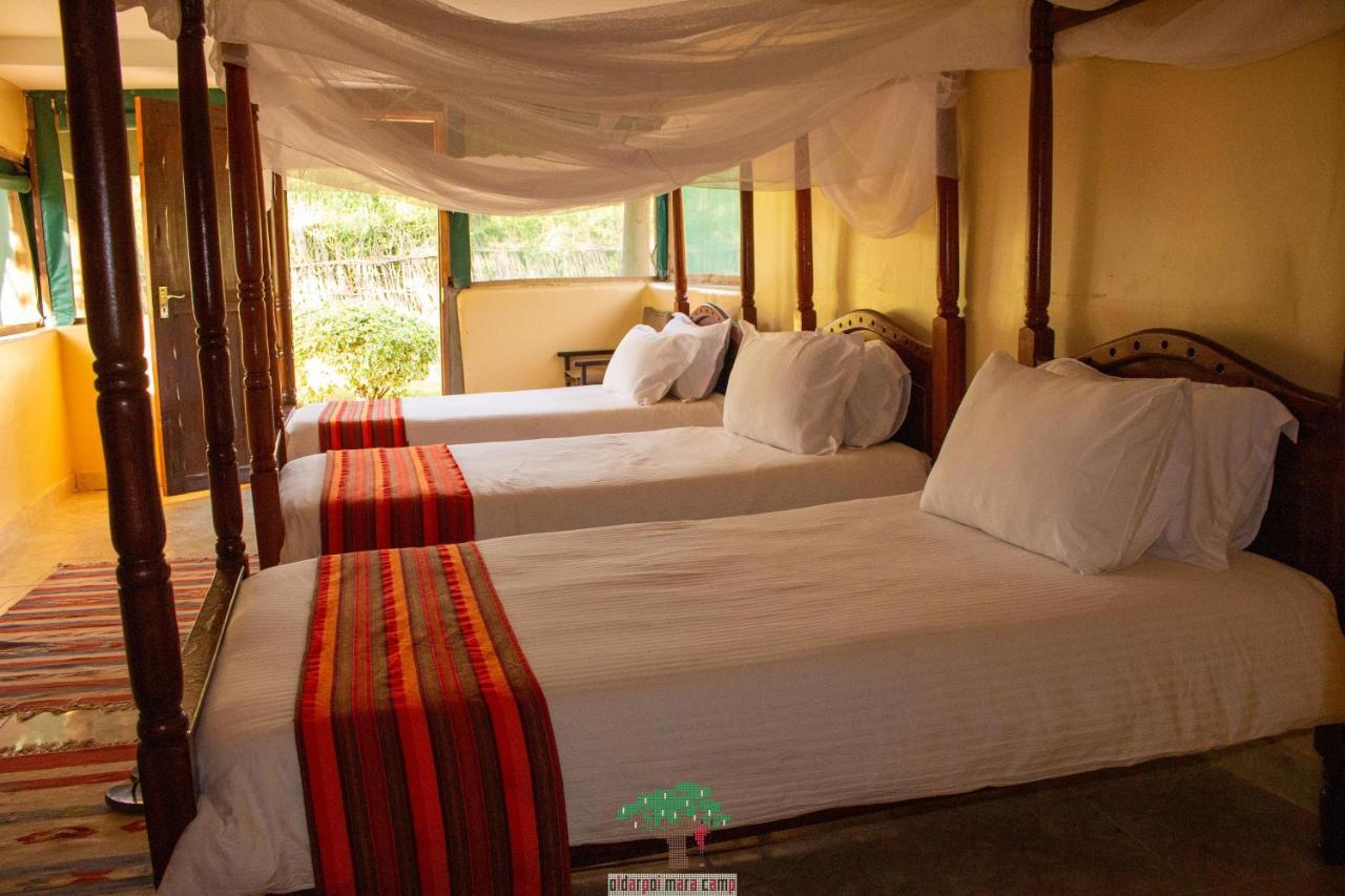 Lodge Oldarpoi Wageni Camps