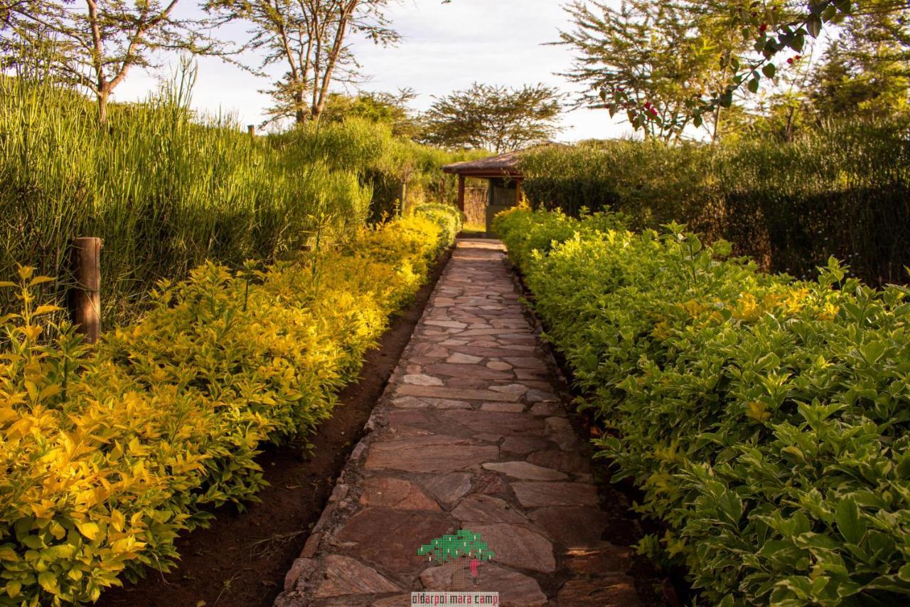 Oldarpoi Wageni Camps Lodge Keekorok